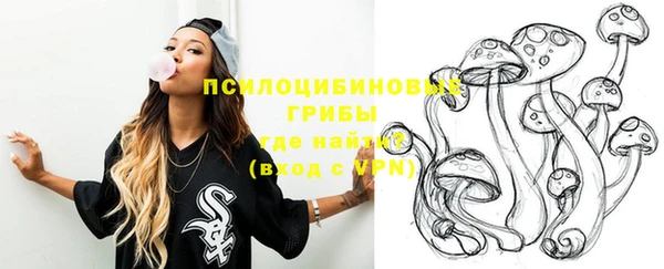 прущая мука Алзамай
