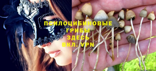 МДМА Алексеевка